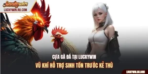 Cựa gà đá