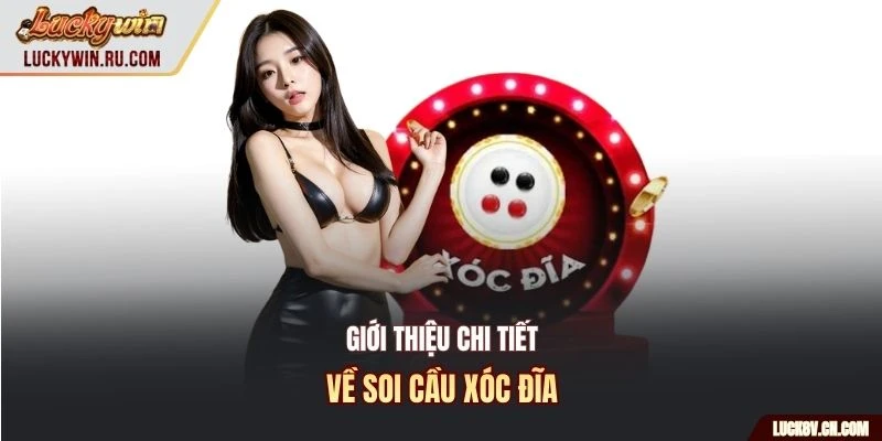 Giới thiệu chi tiết về soi cầu xóc đĩa